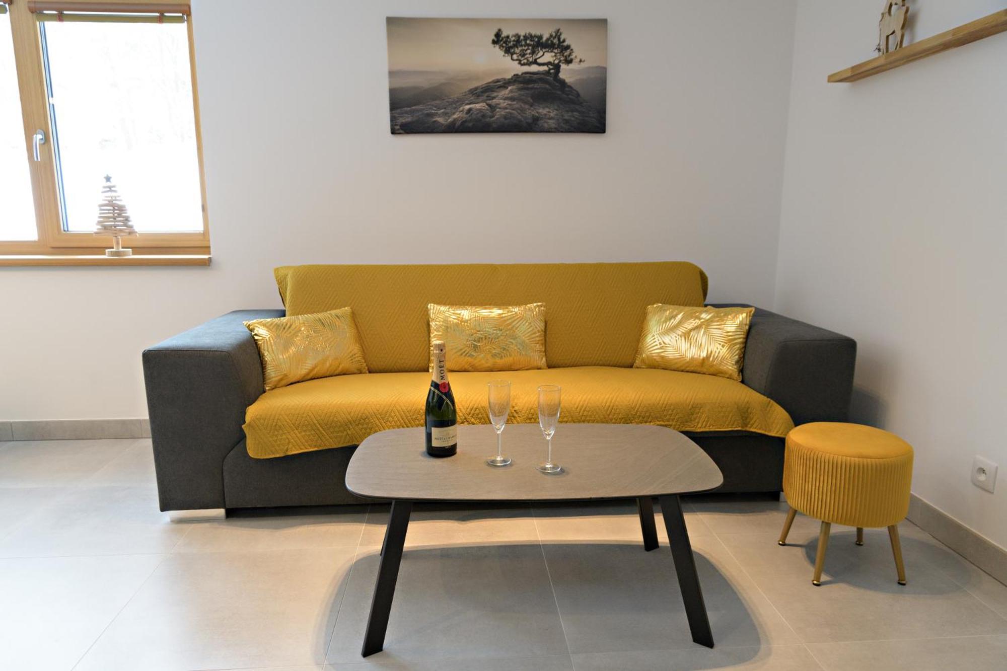 Apartmany Studenoff 捷克布杰约维采 外观 照片